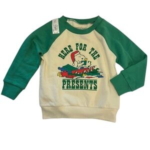 Peanuts / Snoopy Holiday Fleece